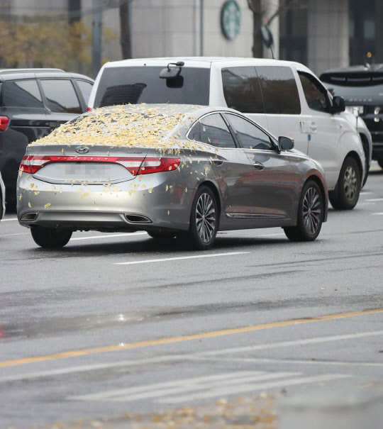 정부가 자동차 개별소비세 인하를 다시 검토하고 있다. 사진은 서울 시내 도로를 달리는 자동차 모습.  연합뉴스